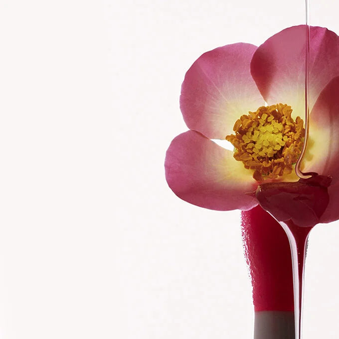 CLARINS Sakura Lip Comfort Oil